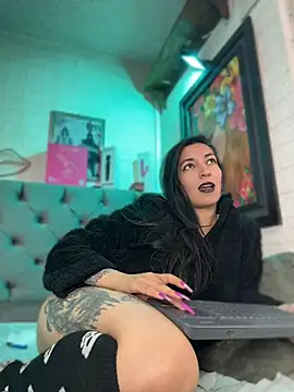 SALOME_KORLAND webcam
