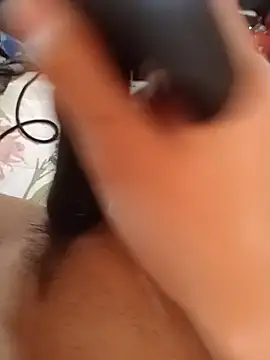 Guarnerstyle webcam