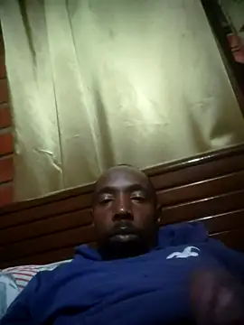 negulin webcam