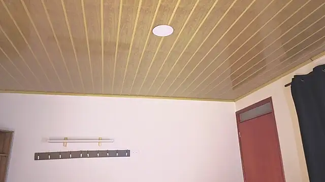 Renaxi_Smith webcam