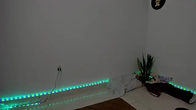 star_shooting8 webcam