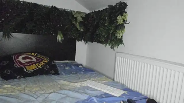 ORKOS webcam