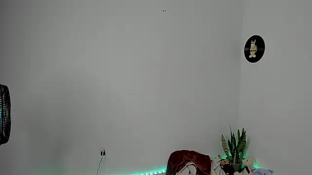 star_shooting8 webcam