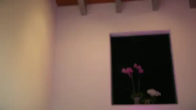 mcklister_kinky_feets webcam