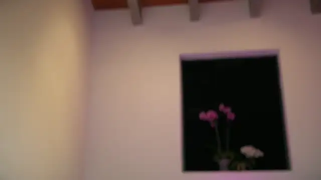 mcklister_kinky_feets webcam