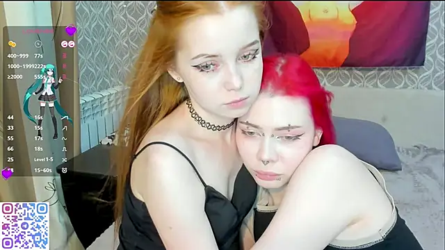 Veldenga webcam