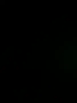 kamel455 webcam