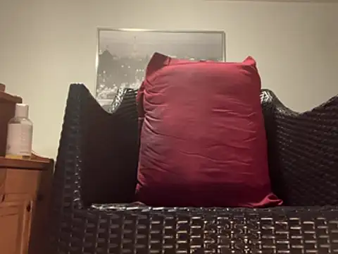 Tyyson03 webcam
