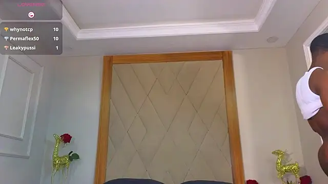 CharlesBrown_ webcam