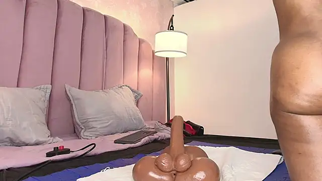 HallyBans webcam