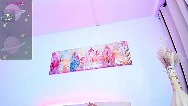 SALOME_F0X_ webcam