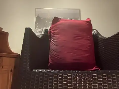 Tyyson03 webcam