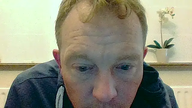 bertolini webcam