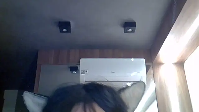 SkinnyKitten webcam