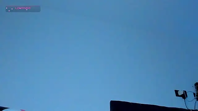 austinoficial webcam