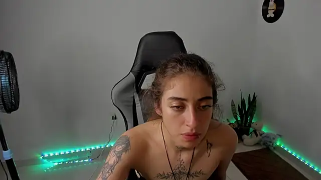 star_shooting8 webcam