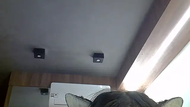 SkinnyKitten webcam