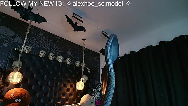 AlexHoe_ webcam