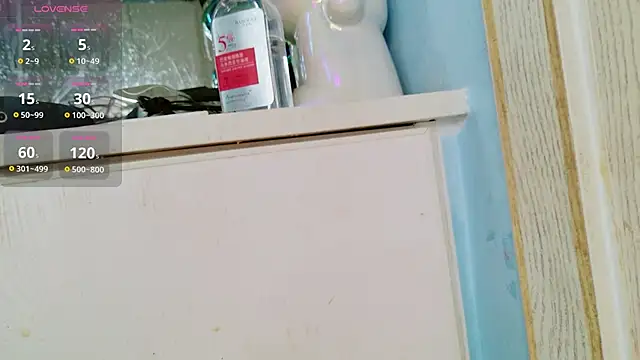 HU131452 webcam