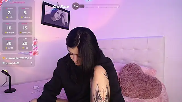 arye_lle webcam