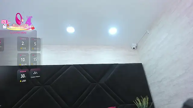Dantzel_ webcam