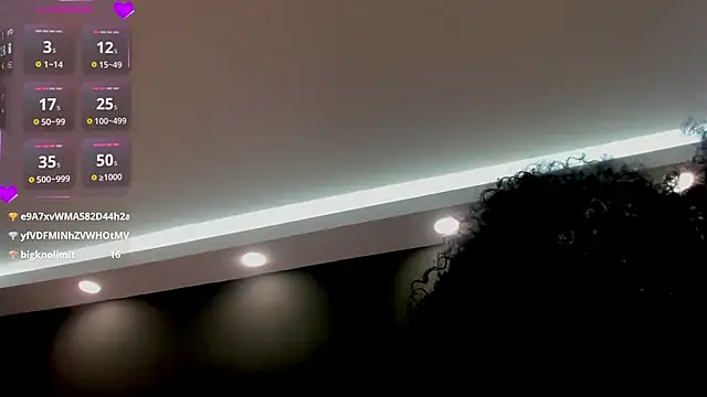laia_fisher_ webcam