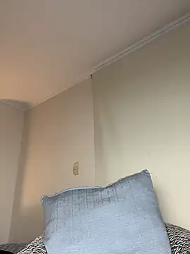 Samispank webcam