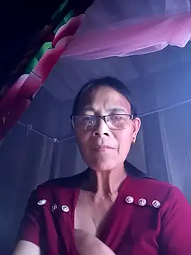 toyo_668 webcam