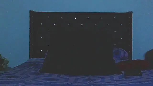 AnySugar webcam