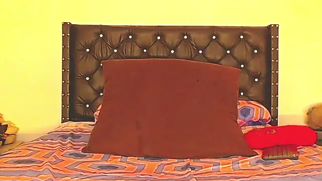 AnySugar webcam