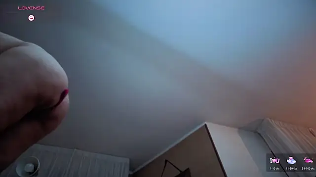 Ara-Trans webcam