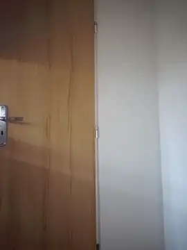 AlphaGymMale webcam