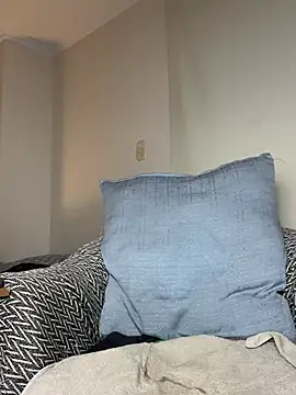 Samispank webcam