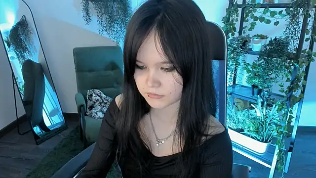 Elainebeness webcam