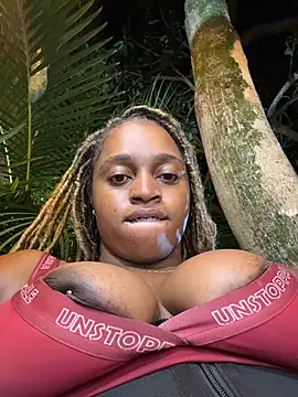 darle_volant webcam