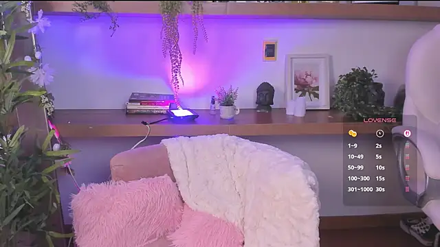 _Lorraine_v webcam
