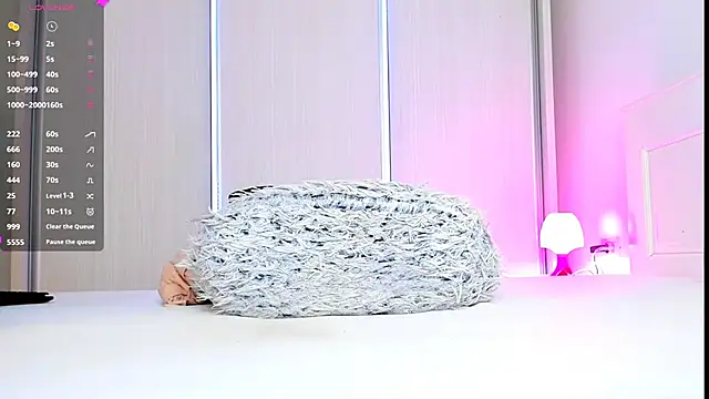 Aidasina webcam
