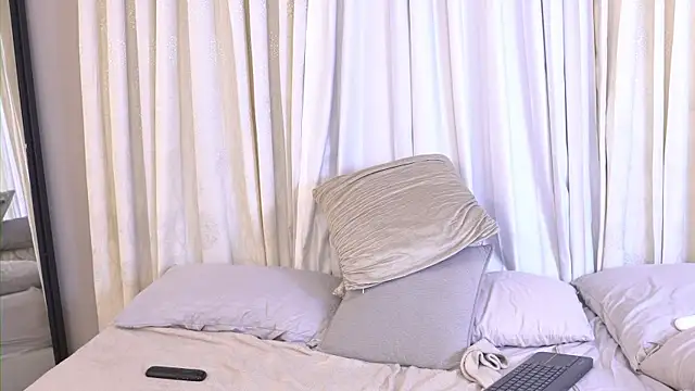 mekari_fox webcam