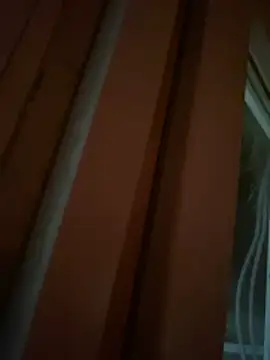 Can0601 webcam