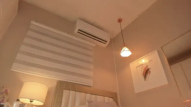 electra_a webcam