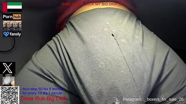 bfs26 webcam