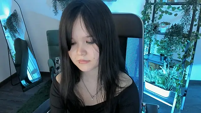 Elainebeness webcam