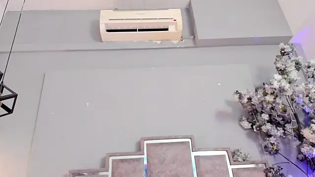 Cloedurant webcam