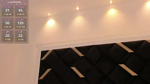 Alexa_Handler webcam