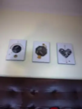 NovaFoxx webcam