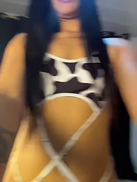 CataNexus_Dg