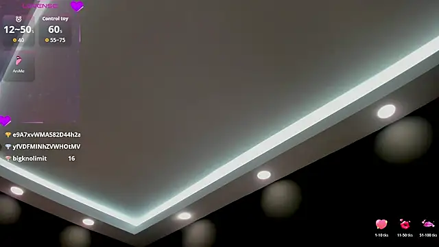 laia_fisher_ webcam
