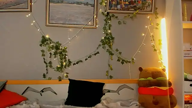 SolarFringe webcam