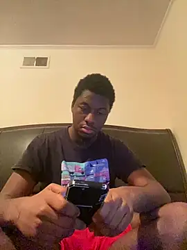 ThickDic28 webcam
