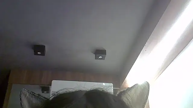 SkinnyKitten webcam